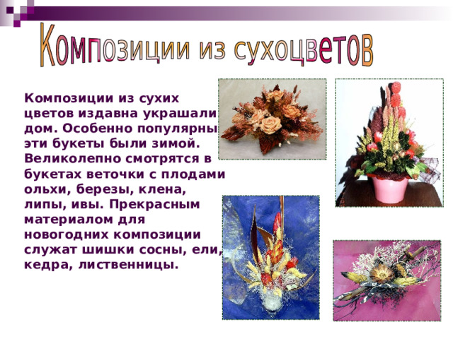 Композиции из сухих цветов издавна украшали дом. Особенно популярным эти букеты были зимой. Великолепно смотрятся в букетах веточки с плодами ольхи, березы, клена, липы, ивы. Прекрасным материалом для новогодних композиции служат шишки сосны, ели, кедра, лиственницы. 