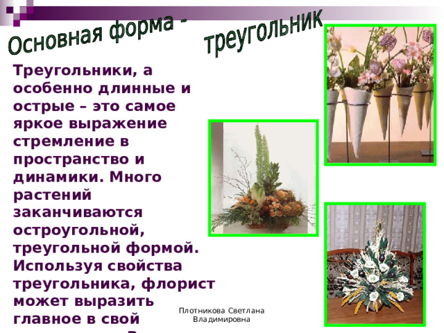 Треугольники, а особенно длинные и острые – это самое яркое выражение стремление в пространство и динамики. Много растений заканчиваются остроугольной, треугольной формой. Используя свойства треугольника, флорист может выразить главное в свой композиции. Вариации треугольника – остроугольные многоугольники в форме  стрелы, клина и воронки, ломкие линии. Плотникова Светлана Владимировна 