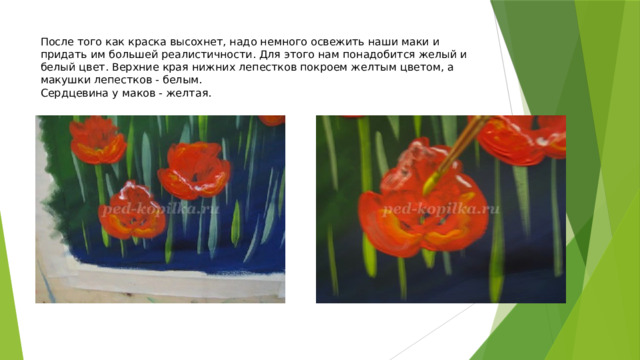 После того как краска высохнет, надо немного освежить наши маки и придать им большей реалистичности. Для этого нам понадобится желый и белый цвет. Верхние края нижних лепестков покроем желтым цветом, а макушки лепестков - белым.  Сердцевина у маков - желтая. 