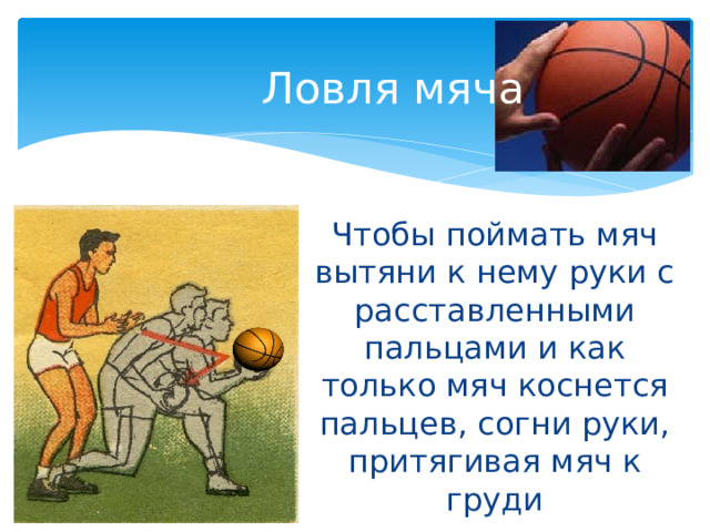  Ловля мяча Чтобы поймать мяч вытяни к нему руки с расставленными пальцами и как только мяч коснется пальцев, согни руки, притягивая мяч к груди   