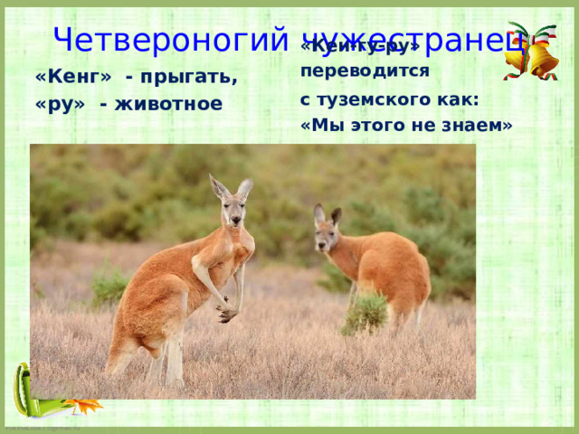 Четвероногий чужестранец   «Кенг» - прыгать, «Кен-гу-ру» переводится «ру» - животное с туземского как:  «Мы этого не знаем» 