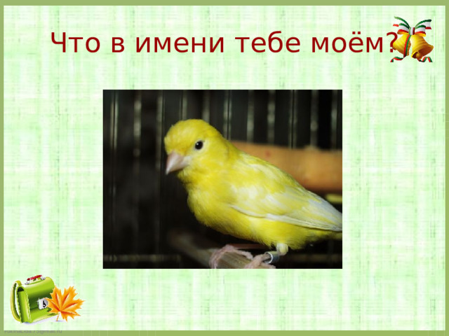 Что в имени тебе моём? 