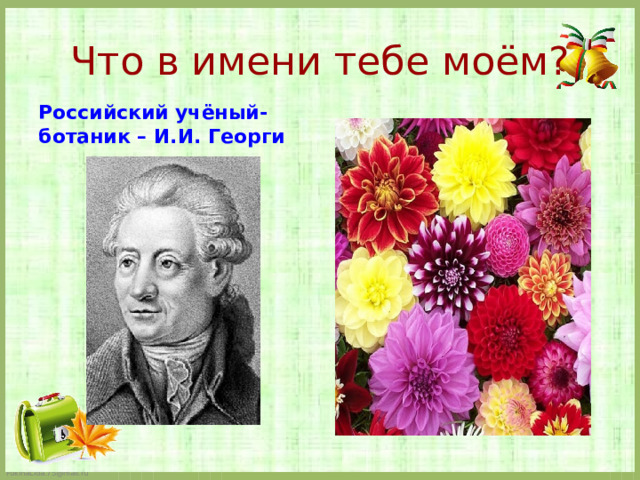 Что в имени тебе моём?   Российский учёный-ботаник – И.И. Георги  