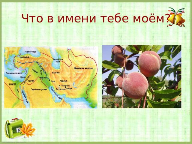 Что в имени тебе моём?   