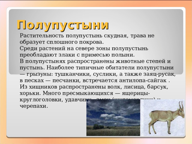 Полупустыни Растительность полупустынь скудная, трава не образует сплошного покрова. Среди растений на севере зоны полупустынь преобладают злаки с примесью полыни. В полупустынях распространены животные степей и пустынь. Наиболее типичные обитатели полупустыни — грызуны: тушканчики, суслики, а также заяц-русак, в песках — песчанки, встречается антилопа-сайгак . Из хищников распространены волк, лисица, барсук, хорьки. Много пресмыкающихся — ящерицы-круглоголовки, удавчики, змеи (щитомордник) и черепахи. 