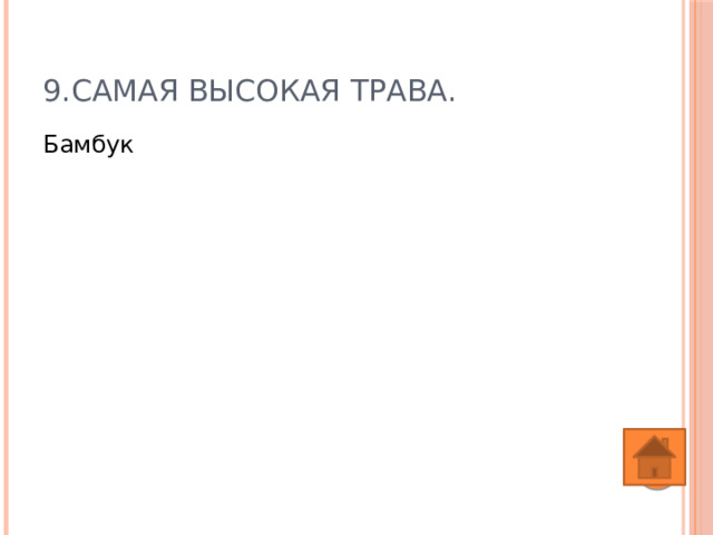 9.Самая высокая трава. Бамбук 