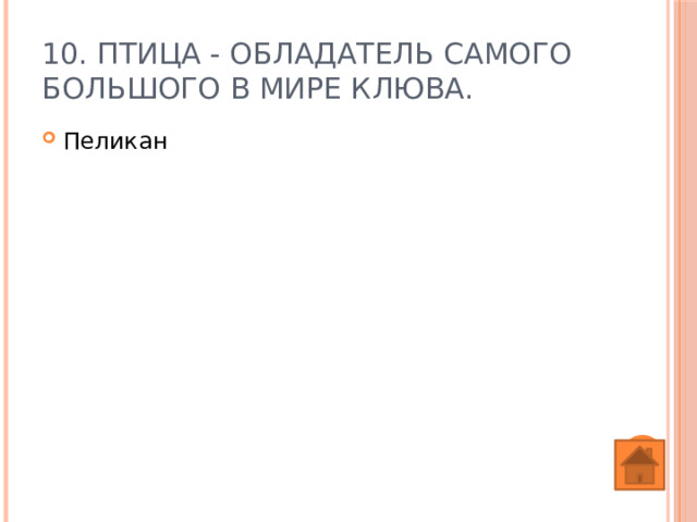 10. Птица - обладатель самого большого в мире клюва. Пеликан 