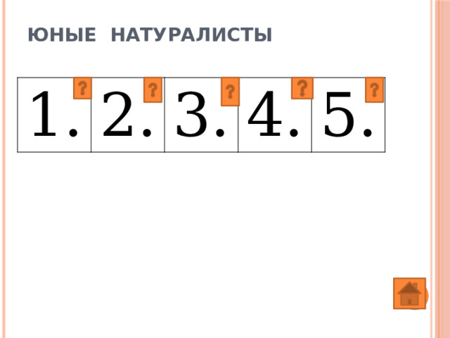 9. Эта водоросль была отправлена вместе с другими живыми растениями в кабине космического корабля “Восток-2”. Она и сейчас постоянно используется в биологических экспериментах на космических станциях. С чем связано ее использование в условиях космоса? Хлорелла. Она является самой продуктивной водорослью - улавливает 7-12 % солнечного света, вместо 1-2% цветковых 