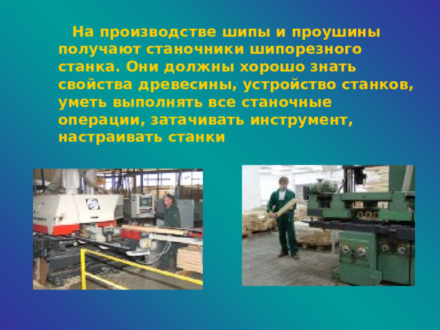  На производстве шипы и проушины получают станочники шипорезного станка. Они должны хорошо знать свойства древесины, устройство станков, уметь выполнять все станочные операции, затачивать инструмент, настраивать станки 