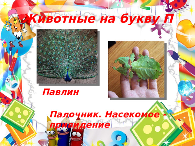 Животные на букву П Павлин  Палочник. Насекомое - привидение 