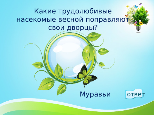 Какие трудолюбивые насекомые весной поправляют свои дворцы? ответ  Муравьи 1 