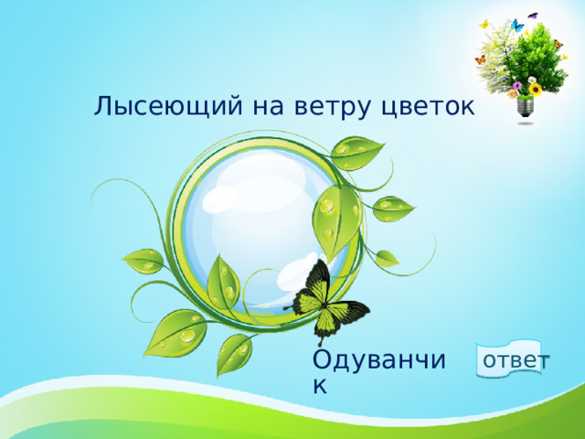 Лысеющий на ветру цветок ответ  Одуванчик 1 