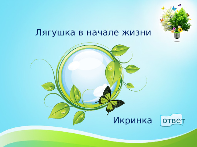 Лягушка в начале жизни ответ  Икринка 1 