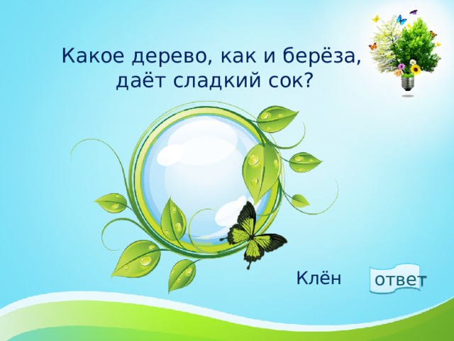Какое дерево, как и берёза,  даёт сладкий сок? ответ  Клён 1 