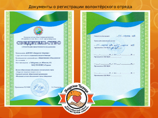Документы о регистрации волонтёрского отряда 