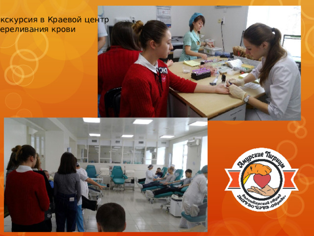 Экскурсия в Краевой центр переливания крови 