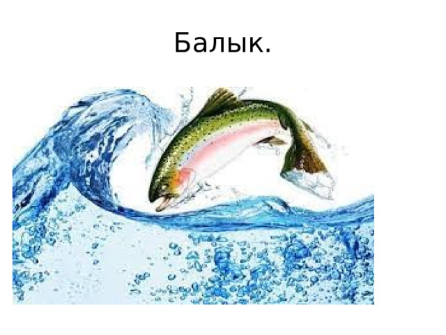 Балык. 