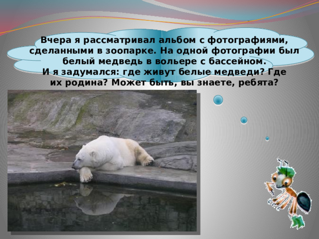  Вчера я рассматривал альбом с фотографиями, сделанными в зоопарке. На одной фотографии был белый медведь в вольере с бассейном. И я задумался: где живут белые медведи? Где их родина? Может быть, вы знаете, ребята? 