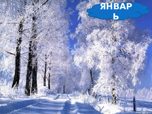 ЯНВАРЬ   Щиплет уши, щиплет нос, Лезет в валенки мороз. Брызнешь воду – упадёт Не вода уже, а лёд. Даже птице не летится, От мороза стынет птица. Повернуло солнце к лету. Что, скажи, за месяц это?     