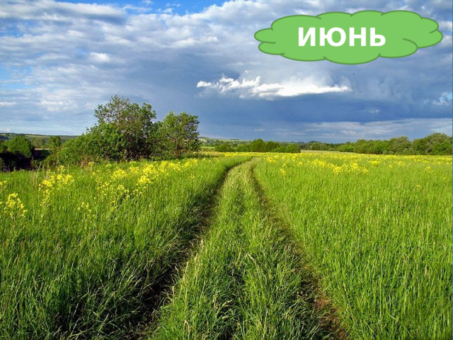 ИЮНЬ Тёплый, длинный-длинный день. В полдень – крохотная тень. Зацветает в поле колос, Подаёт кузнечик голос, Дозревает земляника. Что за месяц, подскажи-ка? 