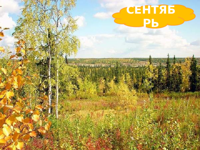 СЕНТЯБРЬ    Опустел уютный сад,  Паутинки вдаль летят,  И на южный край земли  Потянулись журавли.  Распахнулись двери школ.  Что за месяц к нам пришел?       
