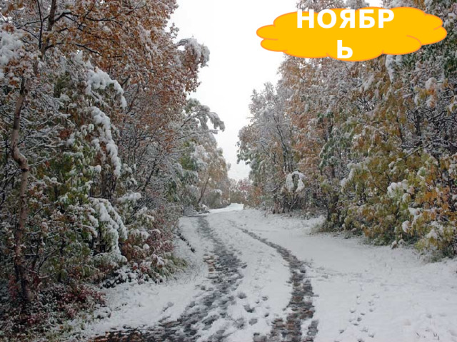 НОЯБРЬ Поле чёрно-белым стало: Падает то дождь, то снег. А ещё похолодало – Льдом сковало воды рек. Мёрзнет в поле озимь ржи. Что за месяц, подскажи! 