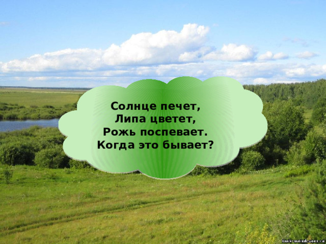 Солнце печет,  Липа цветет,  Рожь поспевает.  Когда это бывает? 