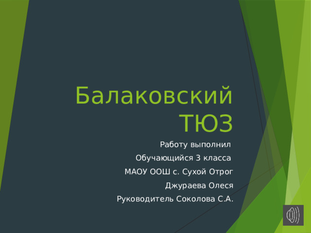 Балаковский ТЮЗ Работу выполнил Обучающийся 3 класса МАОУ ООШ с. Сухой Отрог Джураева Олеся Руководитель Соколова С.А. 