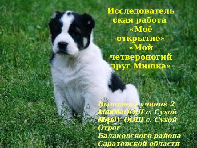 Исследовательская работа «Моё открытие» «Мой четвероногий друг Мишка» Выполнил ученик 2 класса МАОУ ООШ с. Сухой Отрог Балаковского района Саратовской области Кузнецов Руслан  МАОУ ООШ с. Сухой Отро   