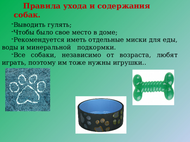 Правила ухода и содержания собак. Выводить гулять; Чтобы было свое место в доме; Рекомендуется иметь отдельные миски для еды, воды и минеральной подкормки. Все собаки, независимо от возраста, любят играть, поэтому им тоже нужны игрушки.. 