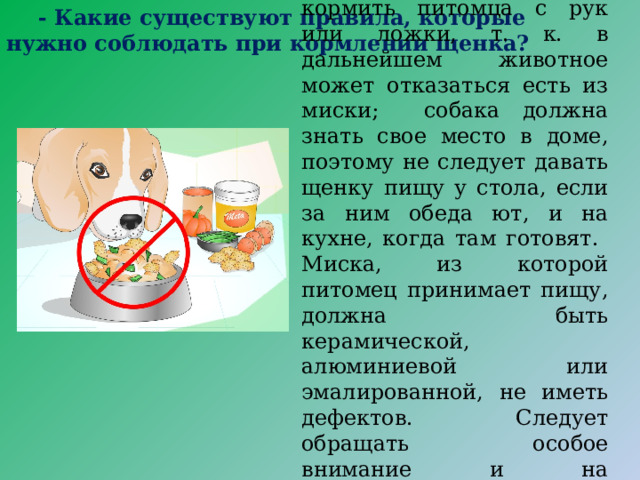 -Не рекомендуется кормить питомца с рук или ложки, т. к. в дальнейшем животное может отказаться есть из миски; собака должна знать свое место в доме, поэтому не следует давать щенку пищу у стола, если за ним обеда ют, и на кухне, когда там готовят. Миска, из которой питомец принимает пищу, должна быть керамической, алюминиевой или эмалированной, не иметь дефектов. Следует обращать особое внимание и на температуру пищи. - Какие существуют правила, которые нужно соблюдать при кормлении щенка? 