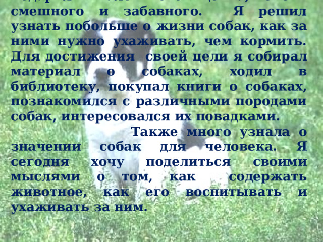  Мне на день рождения подарили маленького щенка, очень смешного и забавного. Я решил узнать побольше о жизни собак, как за ними нужно ухаживать, чем кормить. Для достижения своей цели я собирал материал о собаках, ходил в библиотеку, покупал книги о собаках, познакомился с различными породами собак, интересовался их повадками.  Также много узнала о значении собак для человека. Я сегодня хочу поделиться своими мыслями о том, как содержать животное, как его воспитывать и ухаживать за ним. 