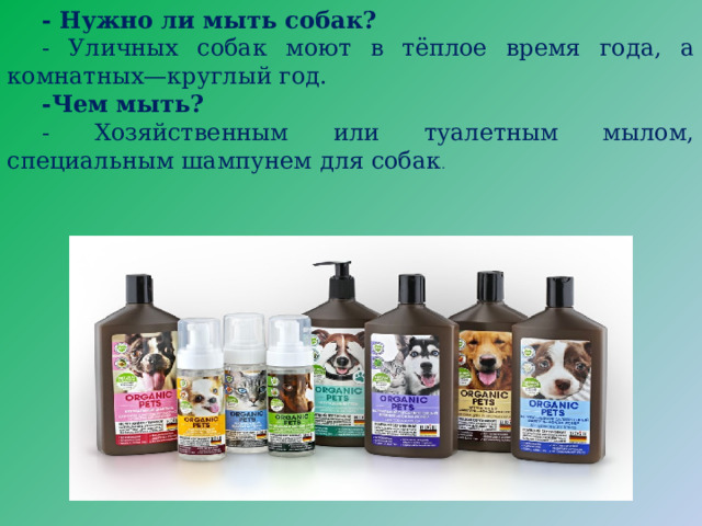 - Нужно ли мыть собак? - Уличных собак моют в тёплое время года, а комнатных—круглый год. -Чем мыть? - Хозяйственным или туалетным мылом, специальным шампунем для собак . 