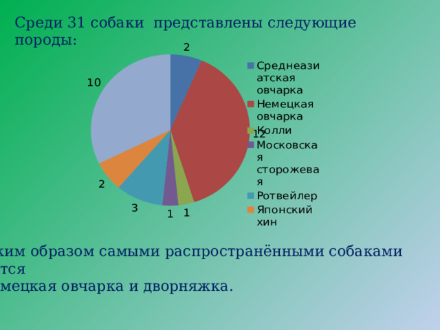 Среди 31 собаки представлены следующие породы: Таким образом самыми распространёнными собаками является  немецкая овчарка и дворняжка. 