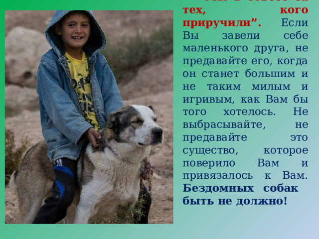 “ Мы в ответе за тех, кого приручили ” . Если Вы завели себе маленького друга, не предавайте его, когда он станет большим и не таким милым и игривым, как Вам бы того хотелось. Не выбрасывайте, не предавайте это существо, которое поверило Вам и привязалось к Вам. Бездомных собак быть не должно! 