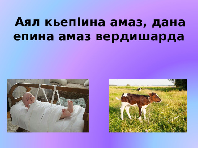  Аял кьепIина амаз, дана епина амаз вердишарда 