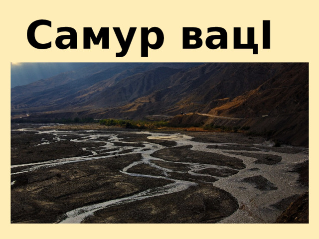 Самур вацI 