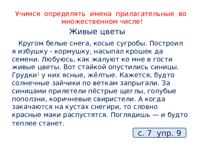 Учимся определять имена прилагательные во множественном числе! Живые цветы  Кругом белые снега, косые сугробы. Построил я избушку - кормушку, насыпал крошек да семени. Любуюсь, как жалуют ко мне в гости живые цветы. Вот стайкой опустились синицы. Грудки 1  у них ясные, жёлтые. Кажется, будто солнечные зайчики по веткам запрыгали. За синицами прилетели пёстрые щеглы, голубые поползни, коричневые свиристели. А когда закачаются на кустах снегири, то словно красные маки распустятся. Поглядишь — и будто теплее станет.   с. 7 упр. 9 