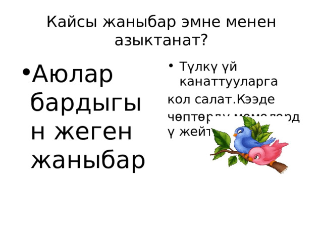 Кайсы жаныбар эмне менен азыктанат? Түлкү үй канаттууларга Аюлар бардыгын жеген жаныбар кол салат.Кээде чөптөрдү,мөмөлөрдү жейт. 