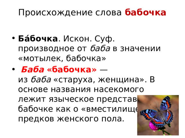 Происхождение слова  бабочка   Ба́бочка . Искон. Суф. производное от  баба  в значении «мотылек, бабочка»   Баба  «бабочка» — из  баба  «старуха, женщина». В основе названия насекомого лежит языческое представление о бабочке как о «вместилище» души предков женского пола. 