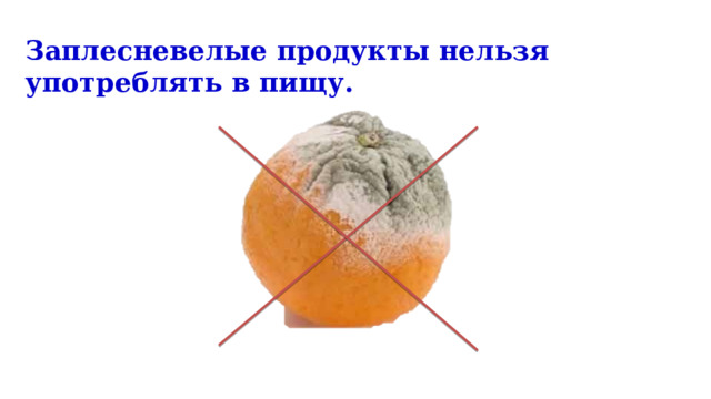 Заплесневелые продукты нельзя употреблять в пищу. 