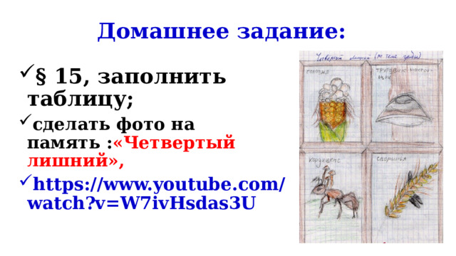 Домашнее задание: § 15, заполнить таблицу; сделать фото на память : «Четвертый лишний», https://www.youtube.com/watch?v=W7ivHsdas3U  