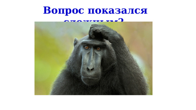 Вопрос показался сложным? http://www.bizlistings.com.au/blog/wp-content/uploads/2015/06/scratching-head.jpg  