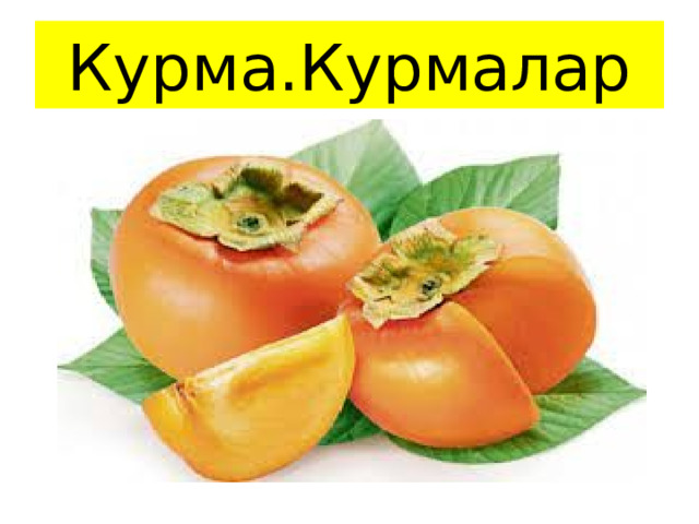 Курма.Курмалар 