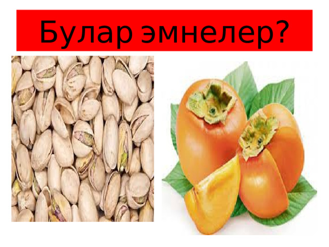 Булар  эмнелер? 