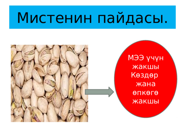 Мистенин пайдасы. МЭЭ үчүн жакшы Көздөр жана өпкөгө жакшы 