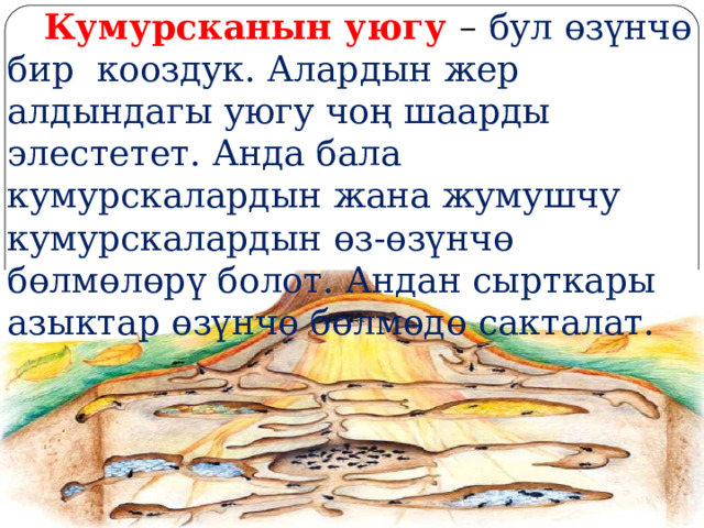  Кумурсканын уюгу – бул өзүнчө бир кооздук. Алардын жер алдындагы уюгу чоң шаарды элестетет. Анда бала кумурскалардын жана жумушчу кумурскалардын өз-өзүнчө бөлмөлөрү болот. Андан сырткары азыктар өзүнчө бөлмөдө сакталат. 