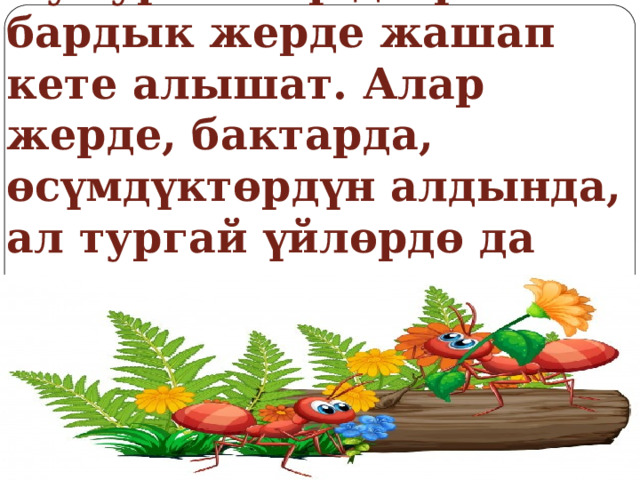 Кумурскалар дээрлик бардык жерде жашап кете алышат. Алар жерде, бактарда, өсүмдүктөрдүн алдында, ал тургай үйлөрдө да жашашат. 