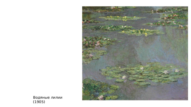 Водяные лилии (1905) 