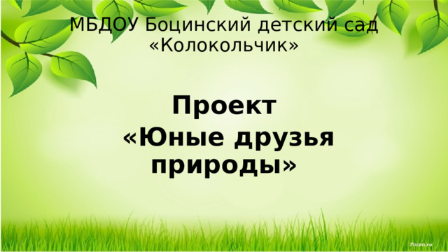 МБДОУ Боцинский детский сад «Колокольчик»   Проект  «Юные друзья природы» 
